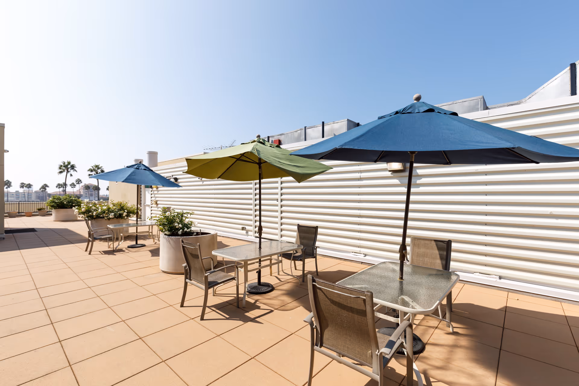 Outdoor patio area with several tables and chairs, each table shaded by large umbrellas in blue and green colors. There are large potted plants along the side, and palm trees are visible in the background under a clear blue sky.