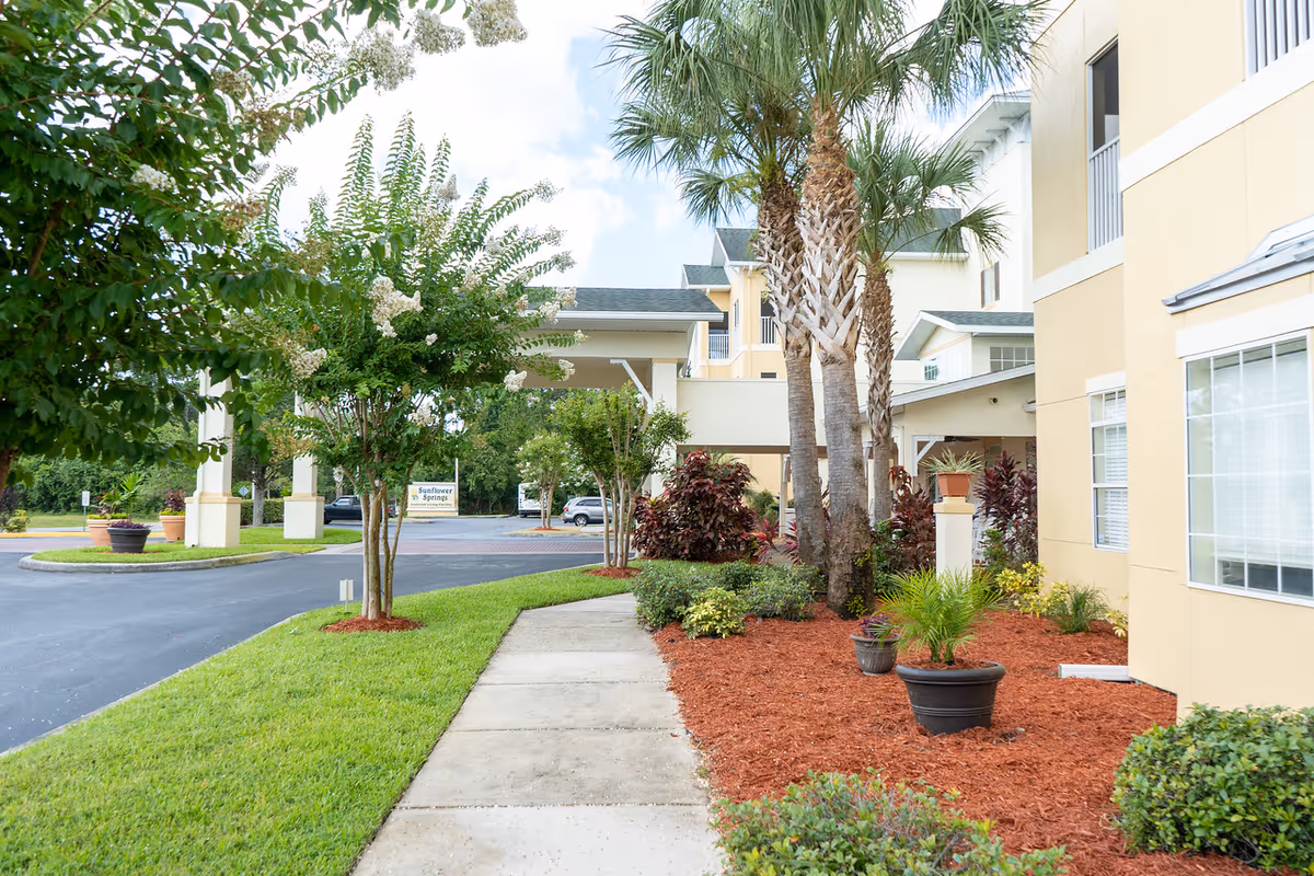 Sidewalk leading to the entrance of a yellow building with palm trees, potted plants, and landscaped bushes. A sign in the background reads 'Sunflower Springs Assisted Living & Memory Care'. The sky is partly cloudy.