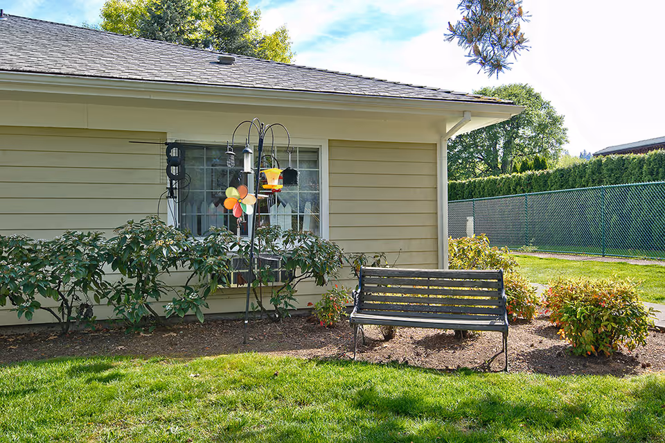 Wood-paneled exterior wall with a window, garden bench, shrubs and a bird feeder in a grassy yard.