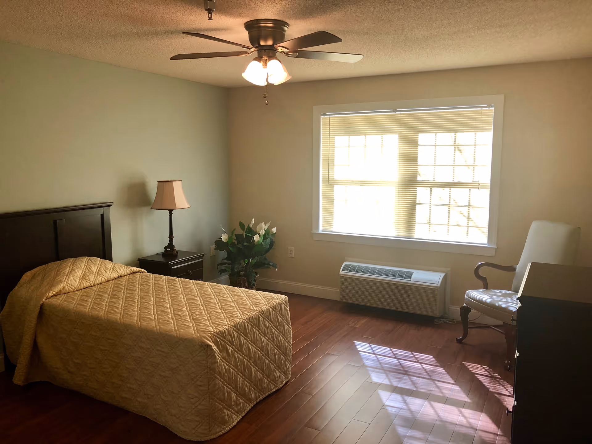 A simple bedroom with a single bed covered in a beige quilt, a dark wooden headboard, a nightstand with a lamp, a potted plant, a white armchair, a window with blinds, a ceiling fan with lights, and wooden flooring.