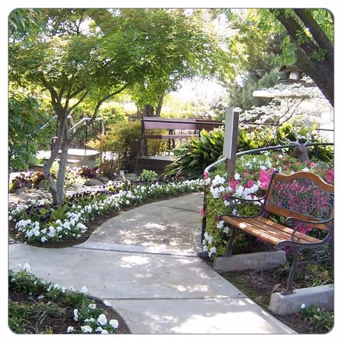 A peaceful outdoor garden path winding through lush greenery and colorful flowers, with two decorative benches on either side and trees providing shade.