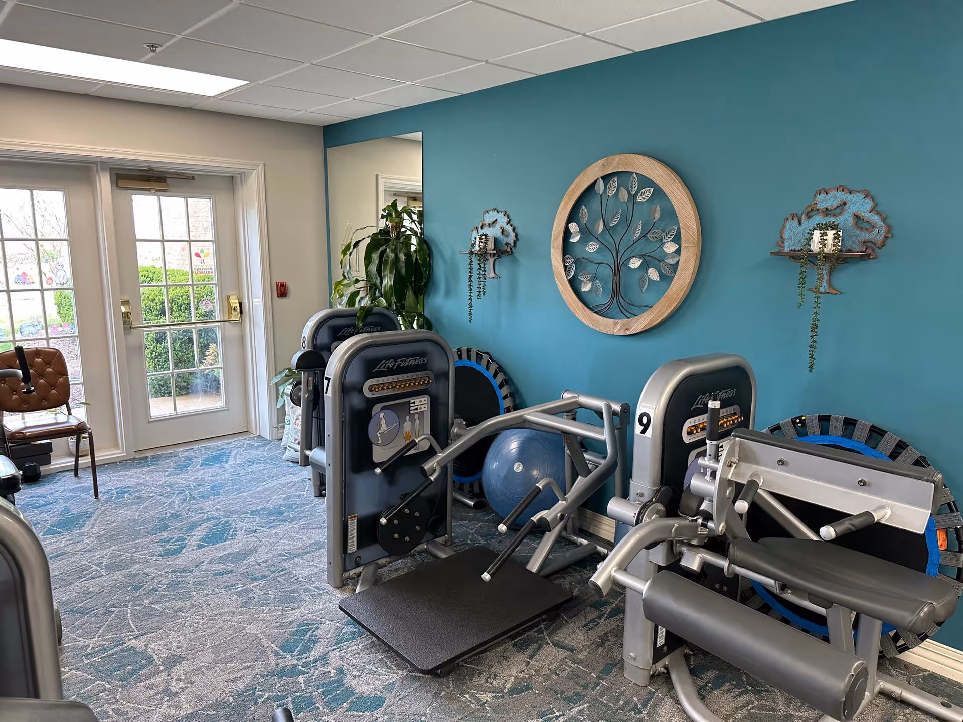 A small fitness room with exercise machines, including a leg press and other strength training equipment. The room has a blue accent wall decorated with a round wooden wall art featuring a tree design and two small shelves with plants. There is a large windowed door letting in natural light, a chair, and a large mirror reflecting part of the room.