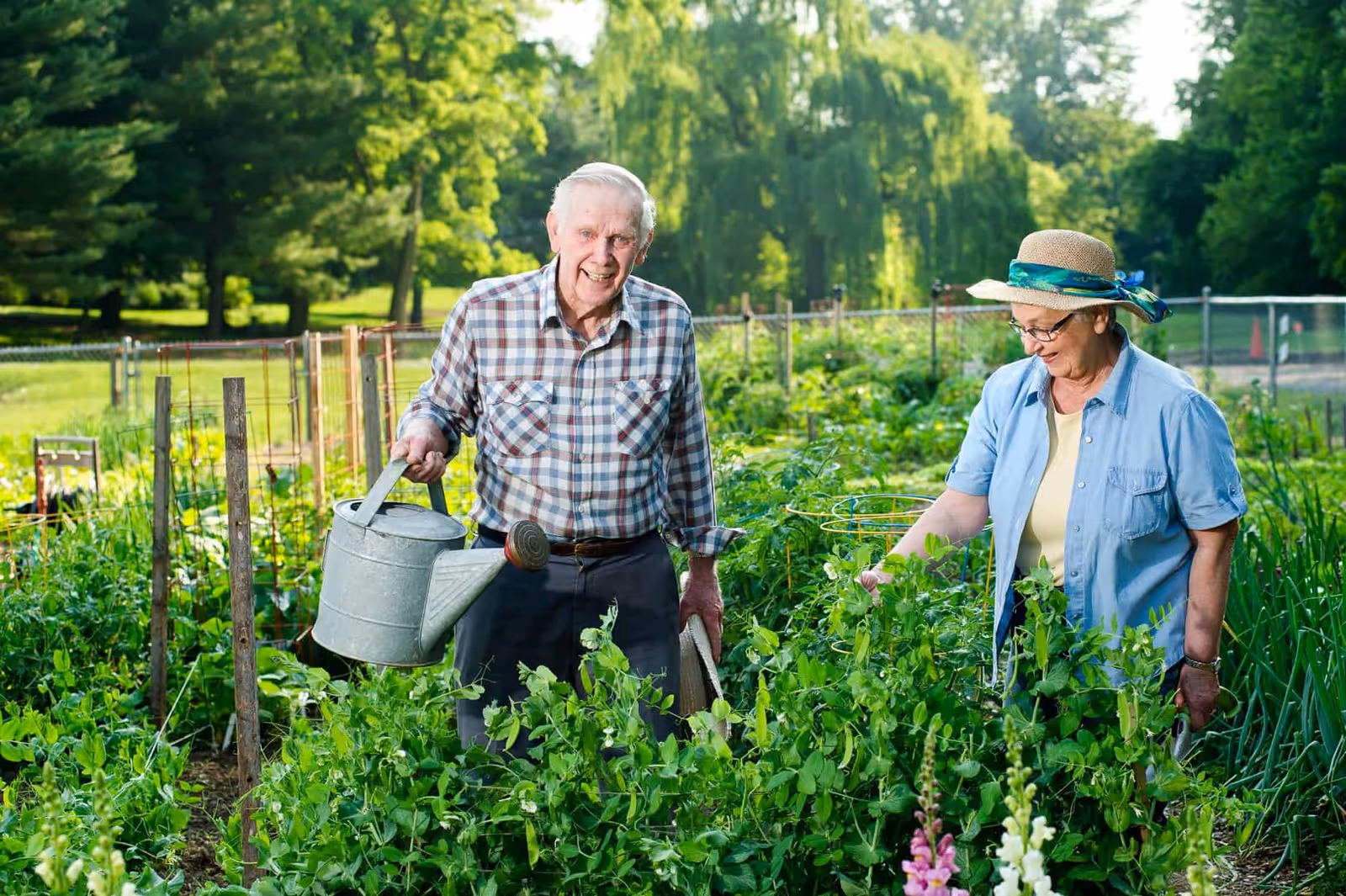 Two elderly individuals tending to a vibrant garden, one holding a watering can and the other inspecting plants, surrounded by lush greenery.