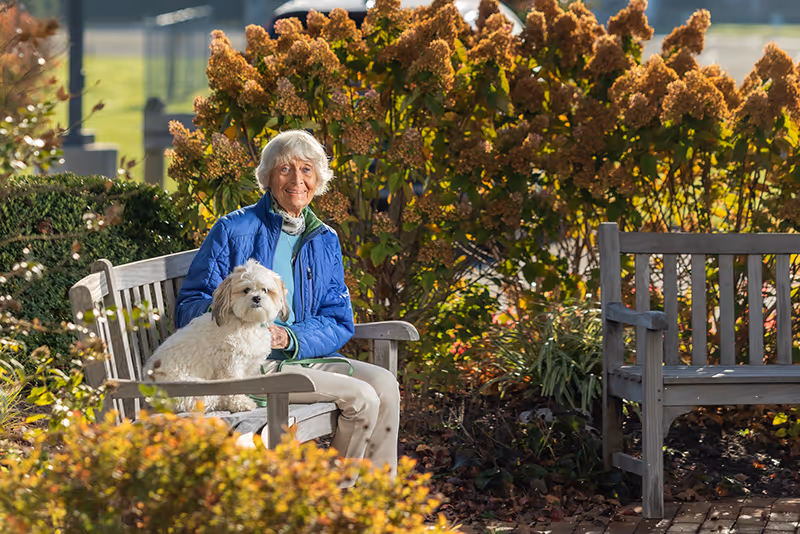 An elderly woman wearing a blue jacket sits on a wooden bench in a garden area, holding a small white dog on her lap. Behind her are bushes with brownish flowers and greenery, and another empty wooden bench is visible nearby.