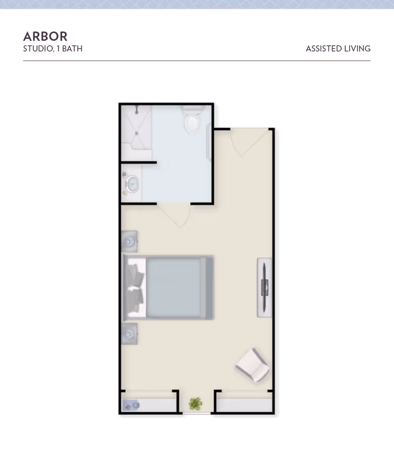 Floor plan of a studio apartment named Arbor with one bathroom, showing a bed, two nightstands, a chair, a TV, and a bathroom with a shower, toilet, and sink.