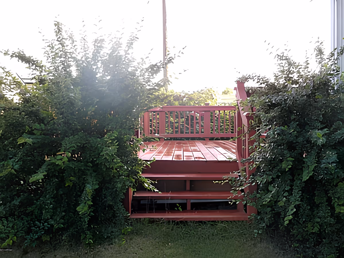 Red wooden deck with steps surrounded by dense green shrubs.