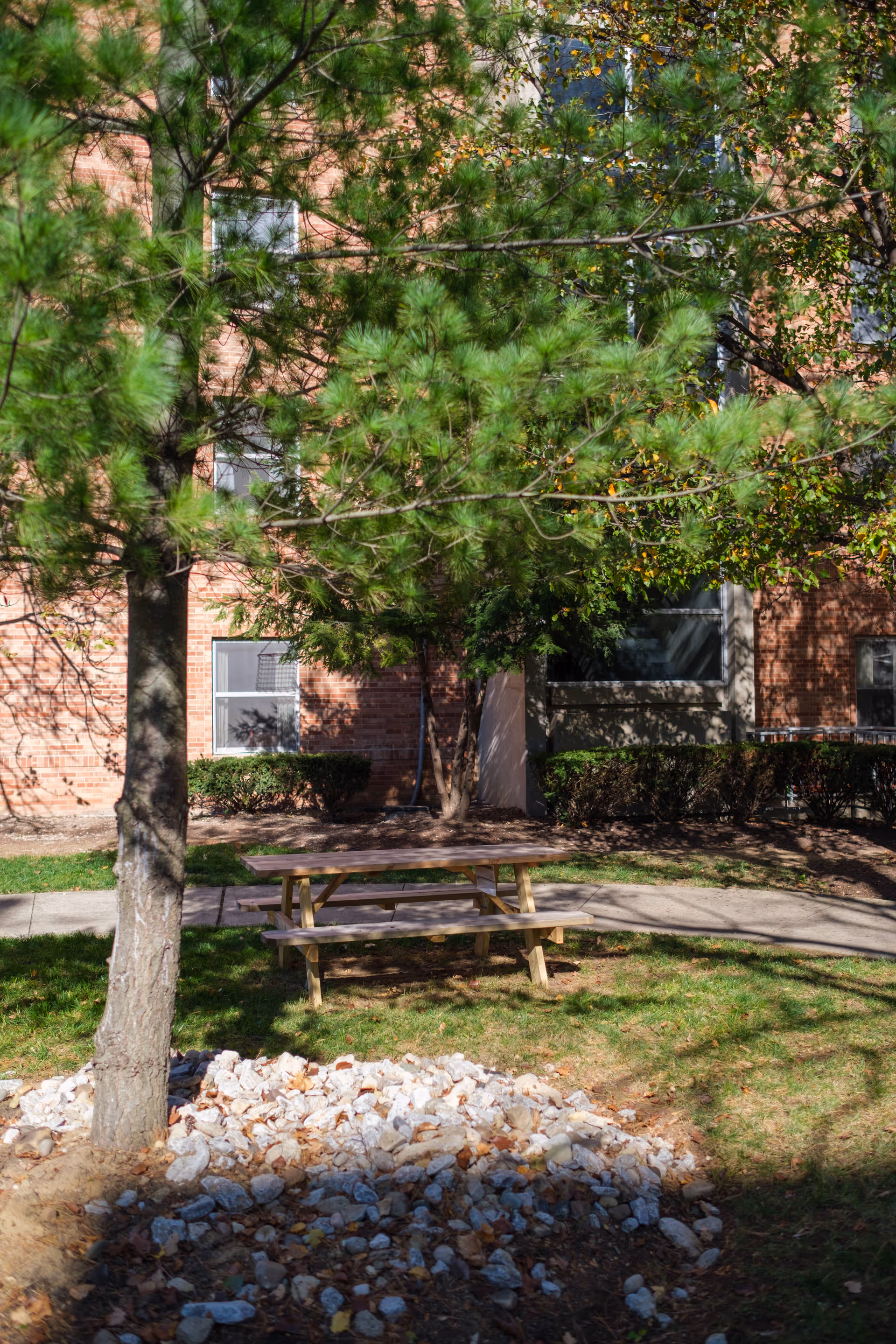 Picnic table beneath pine trees in a grassy courtyard with a brick building and windows behind it.