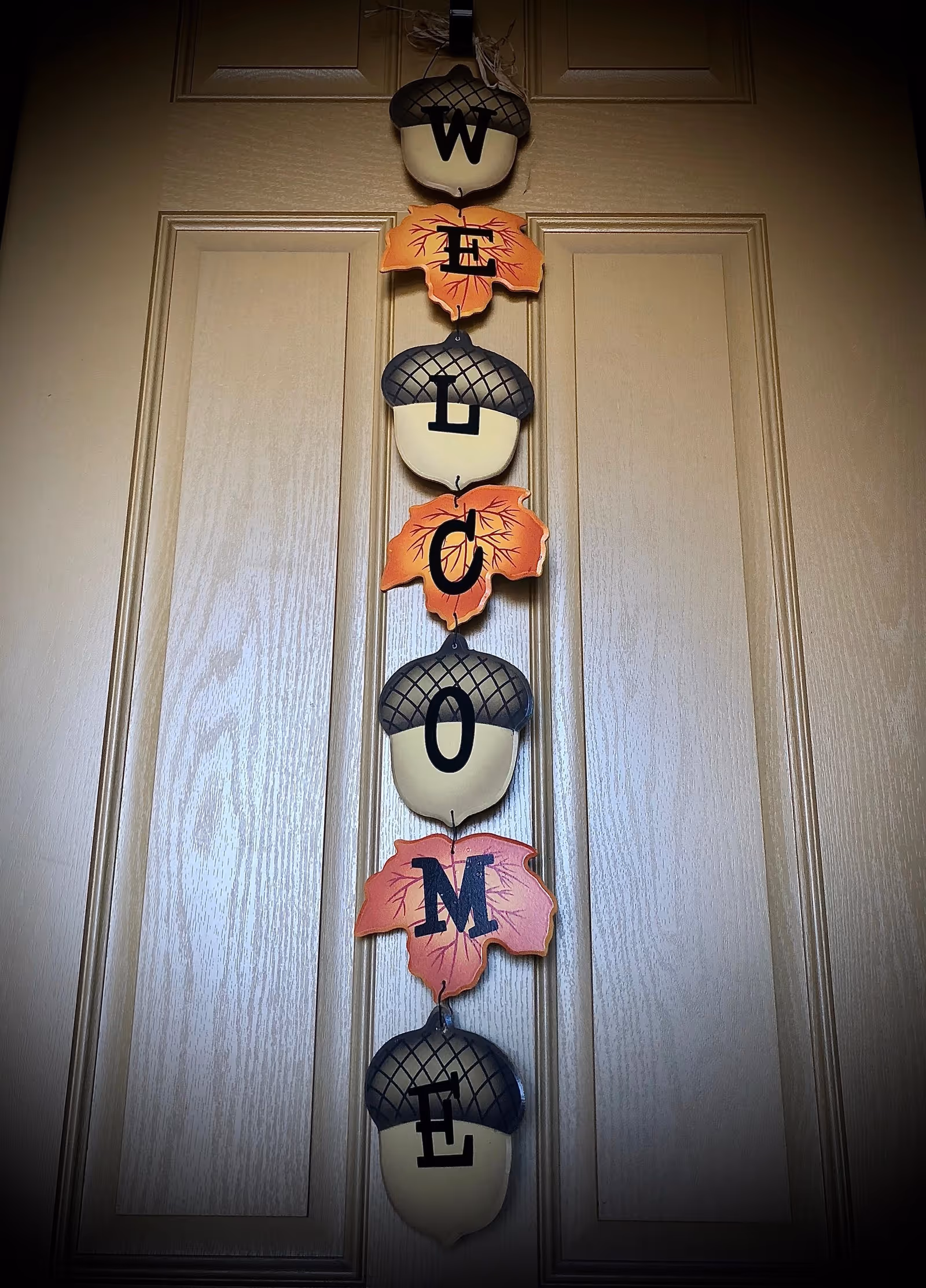 A vertical hanging decoration on a wooden door spelling out the word 'WELCOME' with alternating acorn and autumn leaf shapes, each letter painted in black.