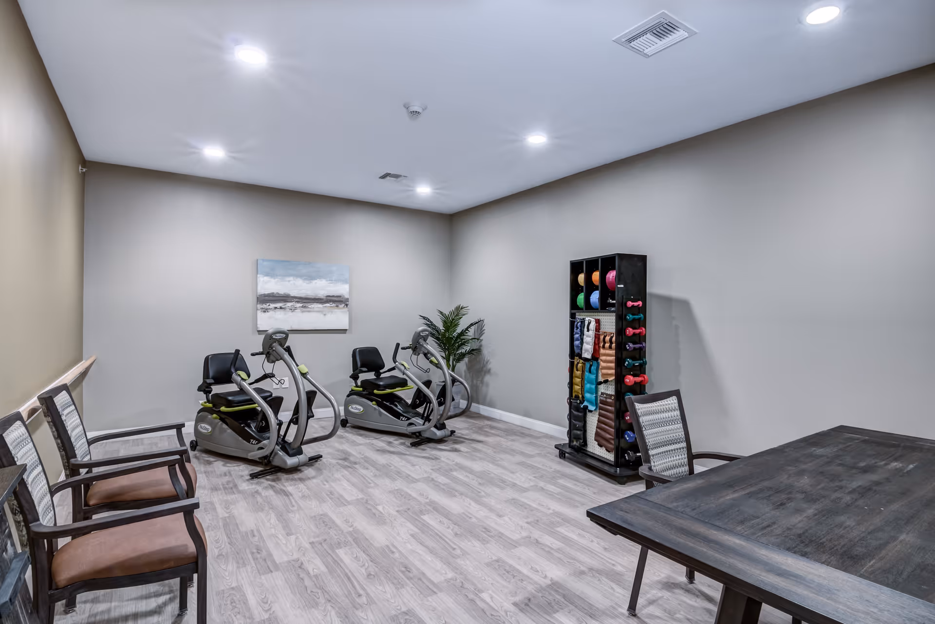 Exercise room with two recumbent bikes, a rack of colorful dumbbells and mats, chairs and a table in a bright interior.