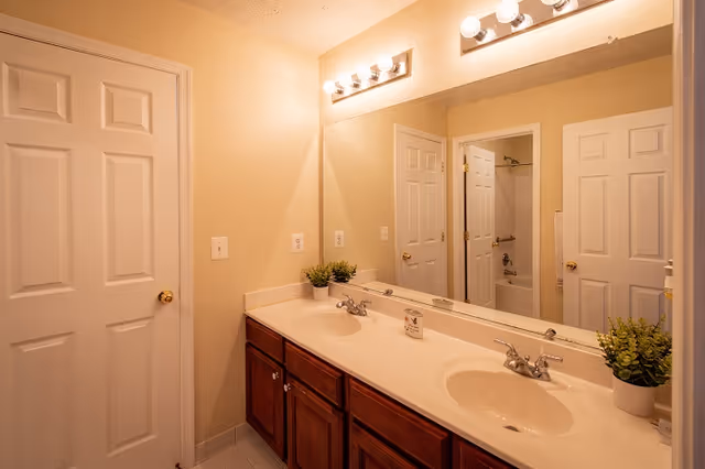 A bathroom with a double sink vanity featuring wooden cabinets and a large mirror above. There are two potted plants on the countertop and a light fixture with multiple bulbs above the mirror. In the reflection, a bathtub with a shower curtain and grab bars is visible, along with two white doors.