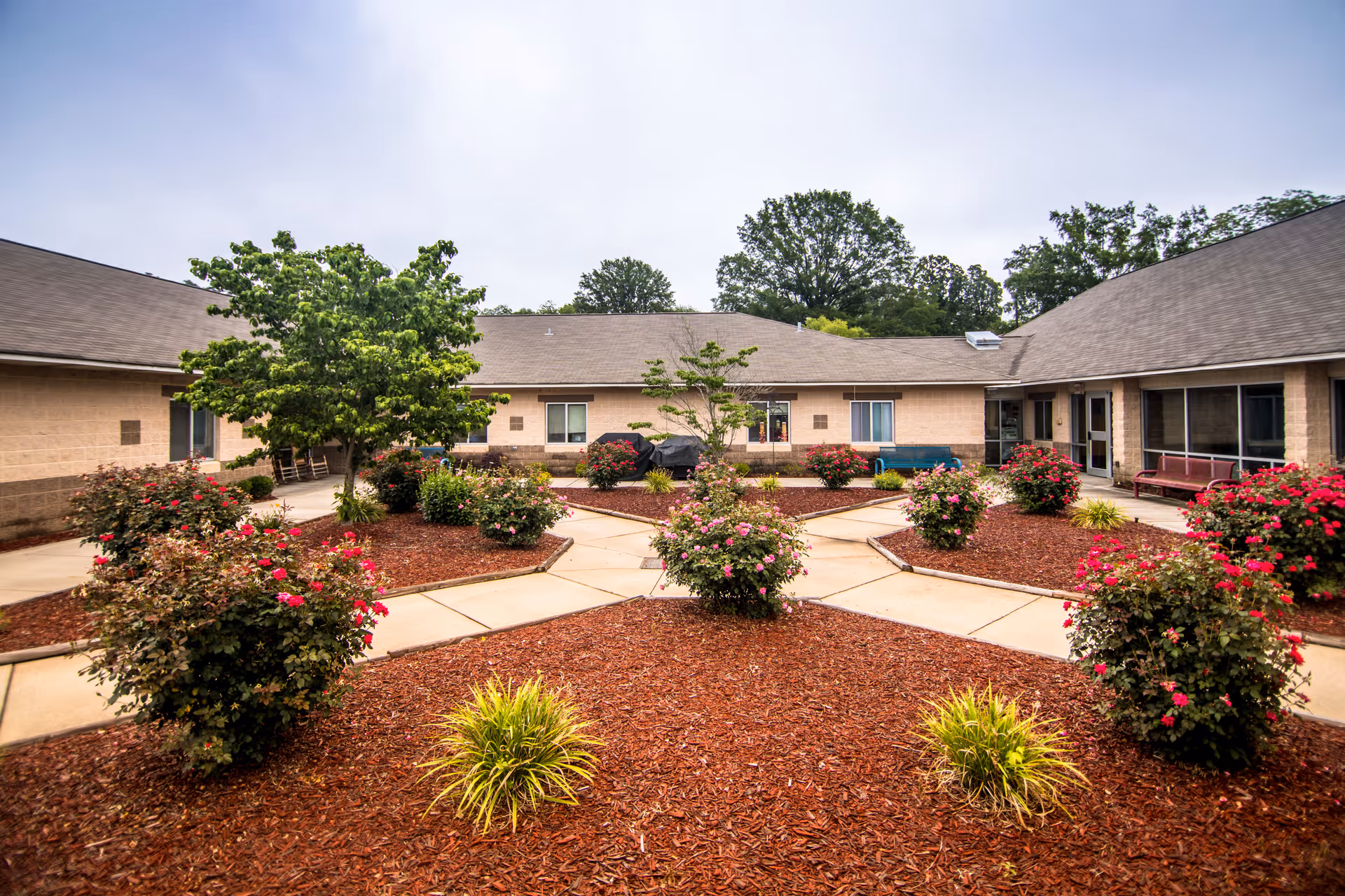 Outdoor courtyard area of a senior living facility with landscaped flower beds containing bushes and small trees, surrounded by a paved walkway and single-story building walls with windows and benches.