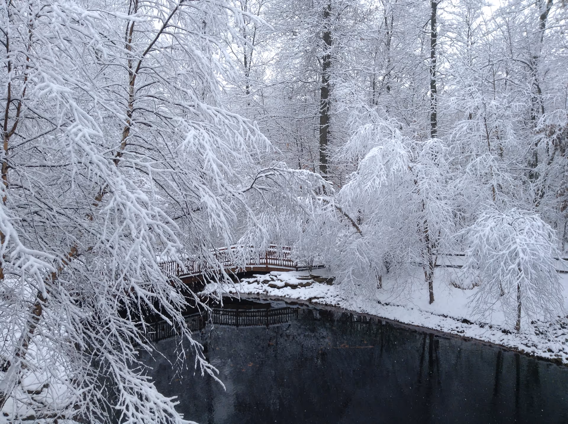 Snow-covered trees surround a wooden footbridge and a dark pond in a wintry outdoor scene.