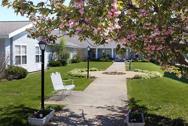 Courtyard walkway with a bench, lamp posts, a blooming tree, and single-story buildings in the background.