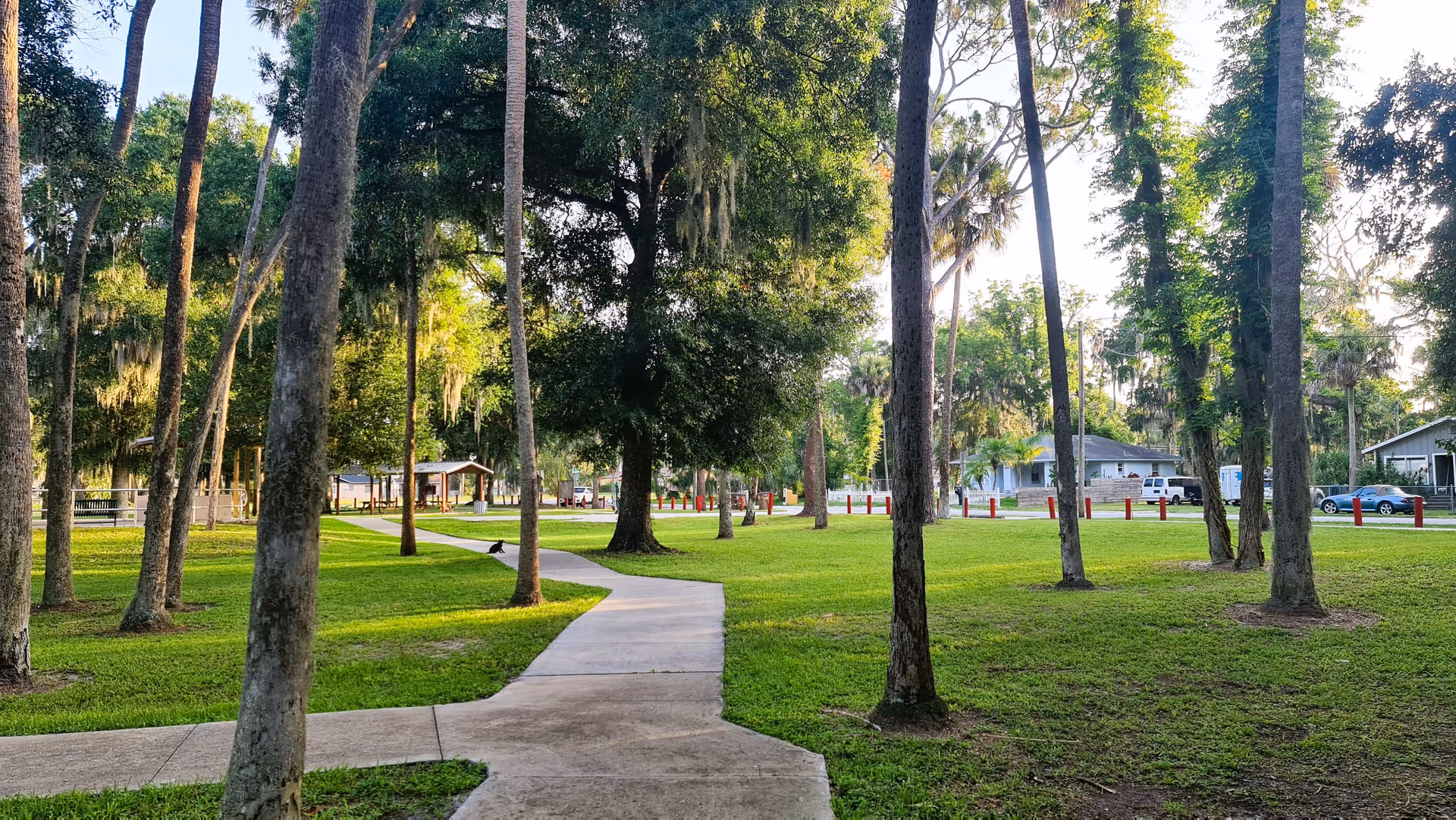 A paved walkway winding through a grassy park area with tall trees and scattered buildings in the background under a bright sky.