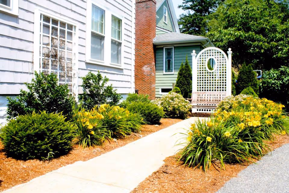 A garden pathway lined with yellow flowers and green shrubs leading to a white wooden bench with a decorative lattice backrest, situated next to a house with white and green siding and a red brick chimney.