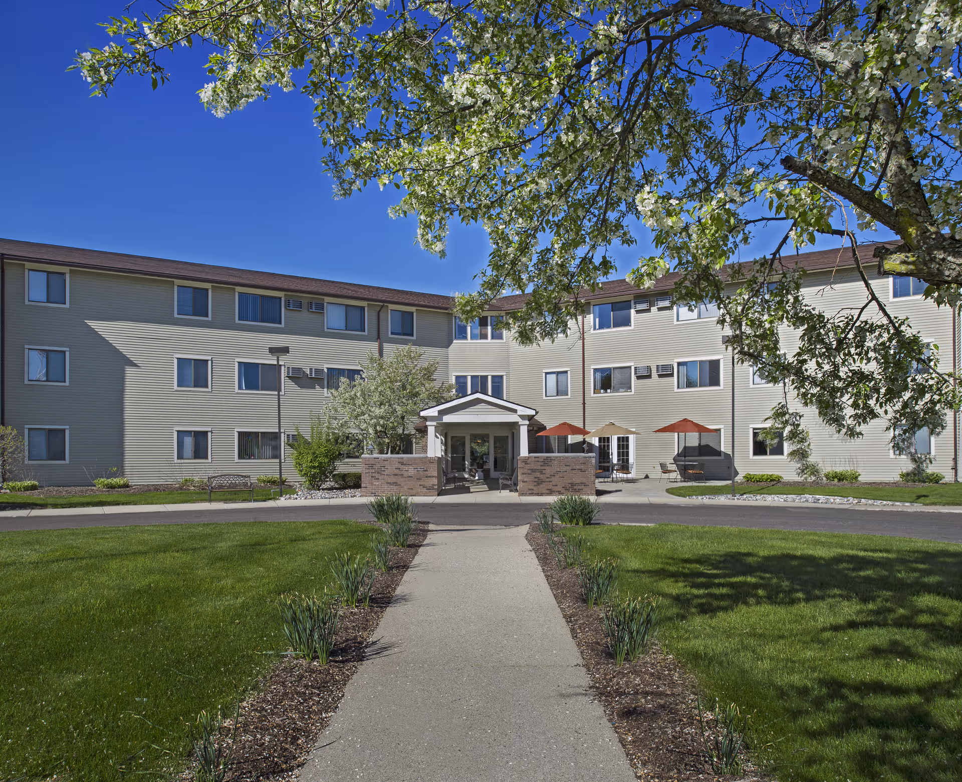 Exterior view of a three-story senior living facility building with beige siding, multiple windows, and a central entrance with a small covered porch. The foreground features a paved walkway lined with small plants and green grass, with a tree branch with white blossoms hanging overhead under a clear blue sky.