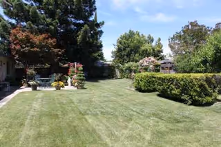 A spacious outdoor lawn with manicured grass, hedges, trees, and decorative pots in a sunny courtyard.