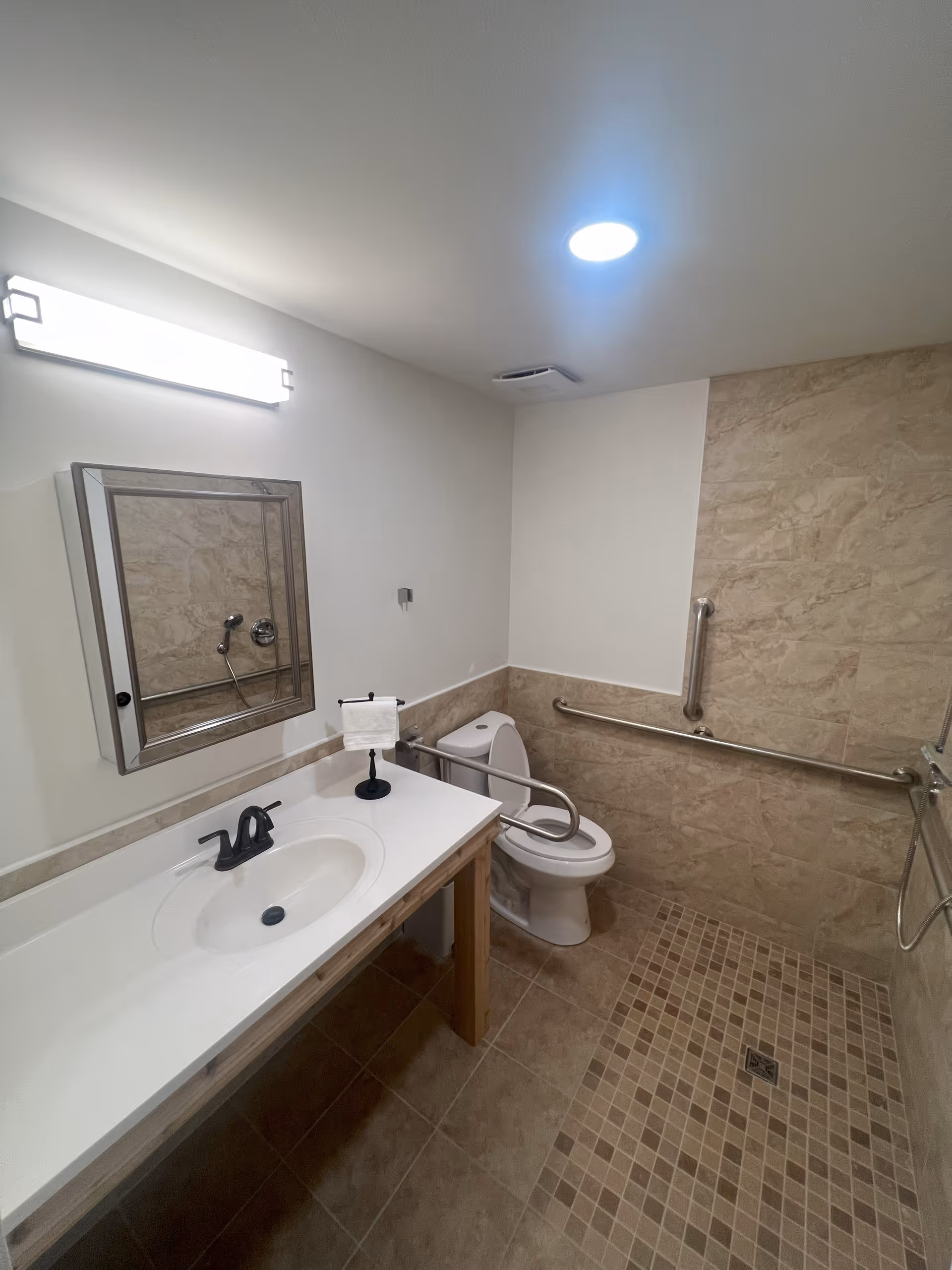 Accessible bathroom with a sink and vanity on the left, a toilet with grab bars, and a tiled roll-in shower area to the right.