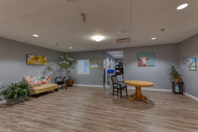 A spacious room with wood flooring and gray walls, featuring a small wooden round table with a chair, a cushioned bench with a colorful quilt, several potted plants, and framed artwork on the walls including a painting of a cow. The room is well-lit with ceiling lights and has an open doorway leading to another area.