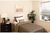 A neatly made single bed with patterned brown and beige bedding in a bright bedroom. Next to the bed is a dark wooden nightstand with a white lamp and a small plant. A large green potted plant is placed near the window, which has white blinds and a small decorative sailboat on the windowsill. A framed picture hangs on the wall above the bed.