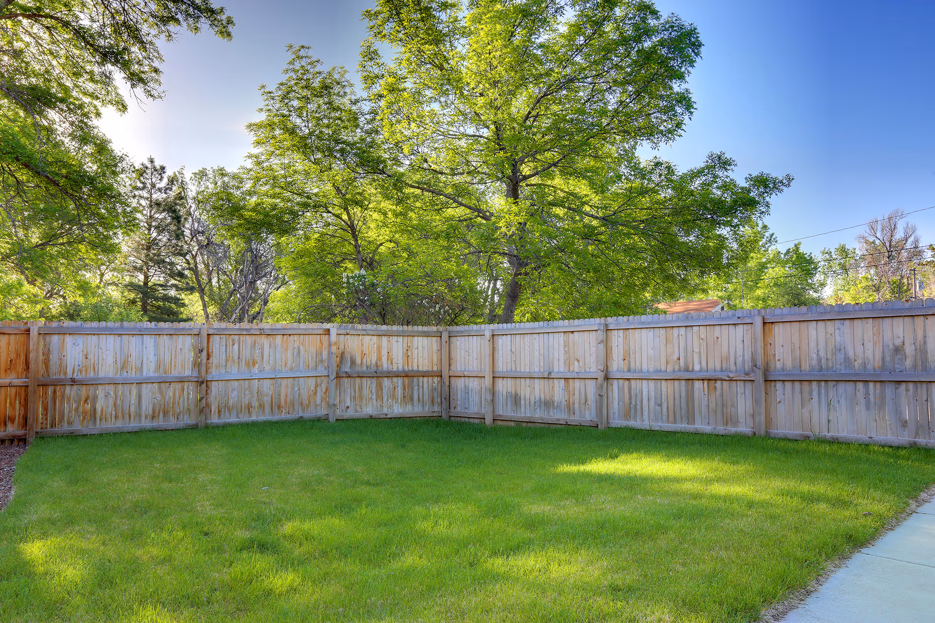Sunlit fenced backyard with a green lawn and large trees beyond a wooden fence.