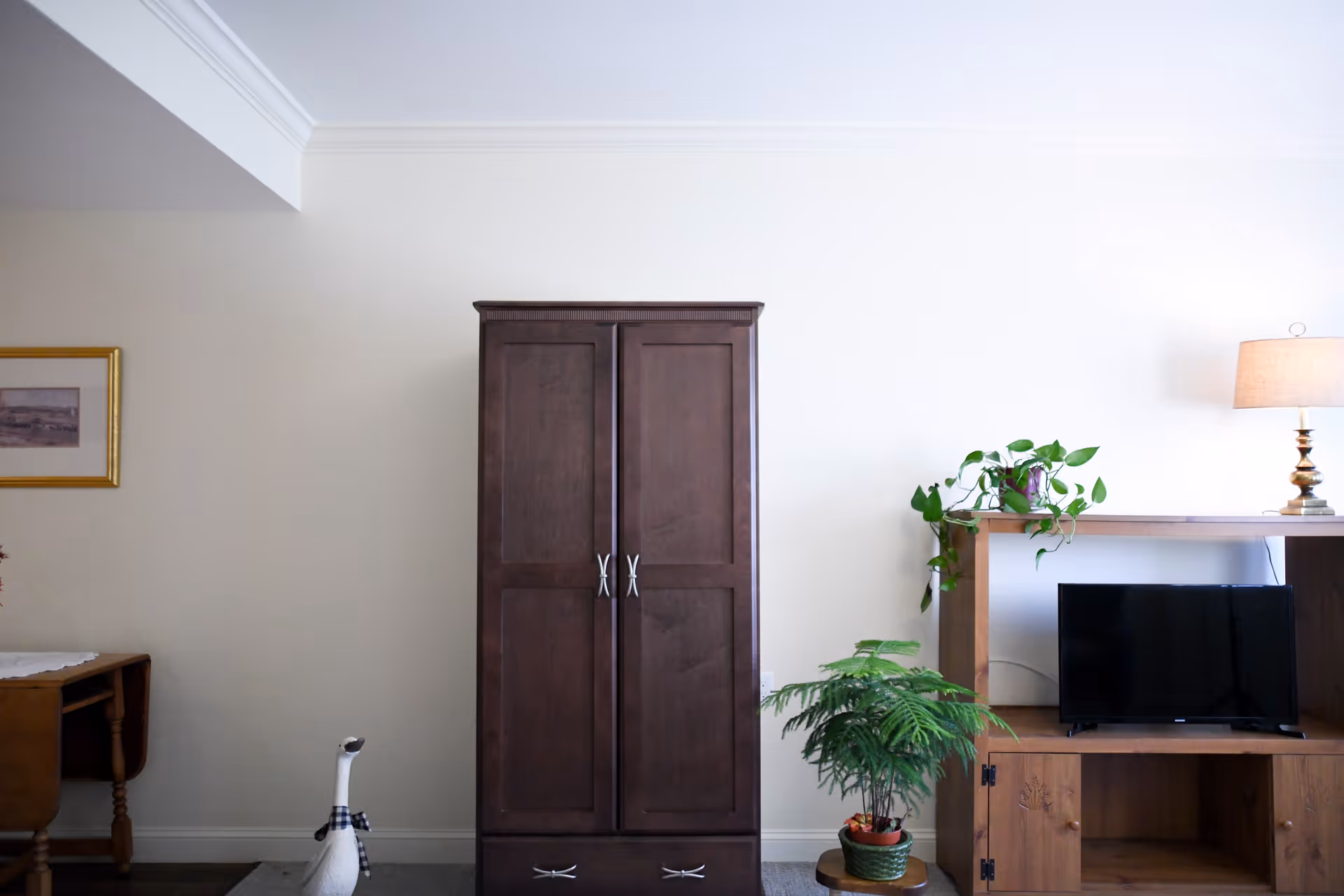 Living room interior with a dark wooden armoire centered between a TV cabinet, potted plants, and a lamp.