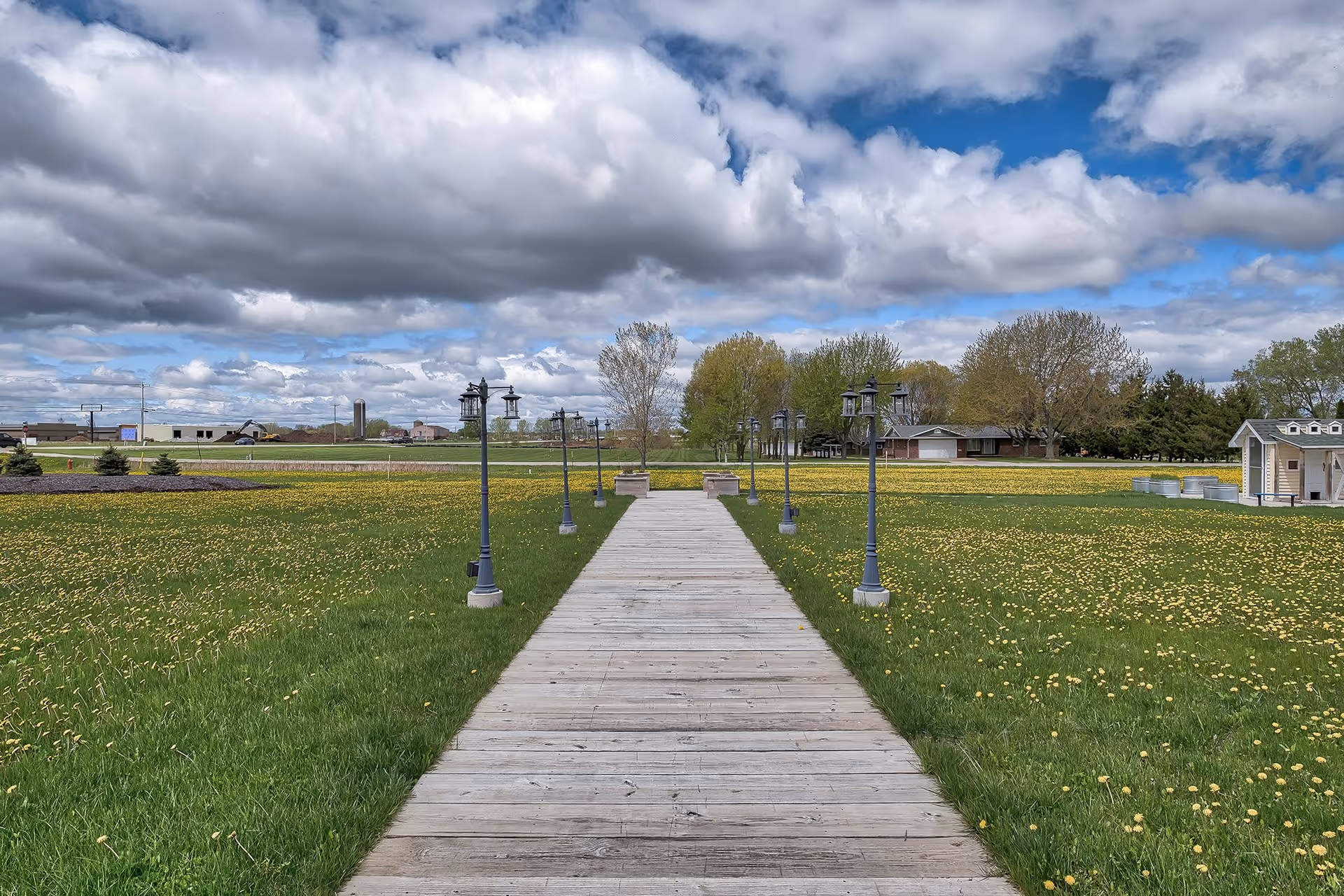 A wooden boardwalk pathway lined with black lamp posts on both sides stretches through a grassy field dotted with yellow dandelions under a partly cloudy sky. Trees and buildings are visible in the distance.