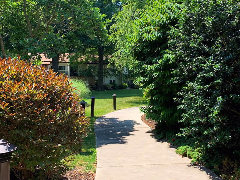 A curved concrete pathway surrounded by lush green bushes and trees leading towards a building partially visible in the background under bright sunlight.