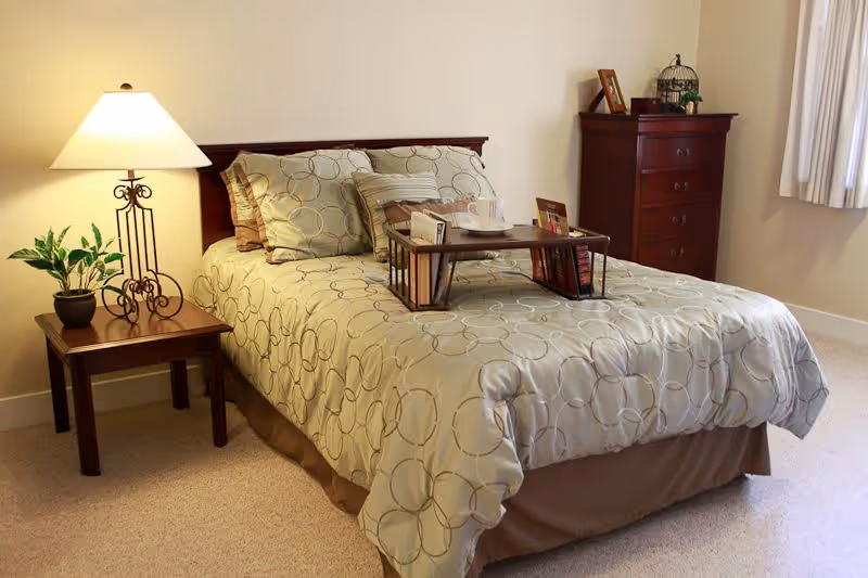 A neatly made bed with patterned bedding and multiple pillows in a bedroom. A wooden tray with a cup and some items is placed on the bed. To the left of the bed is a wooden nightstand with a potted plant and a lamp with a white lampshade. To the right, there is a wooden chest of drawers with decorative items on top. A window with white curtains is partially visible on the right side of the image.