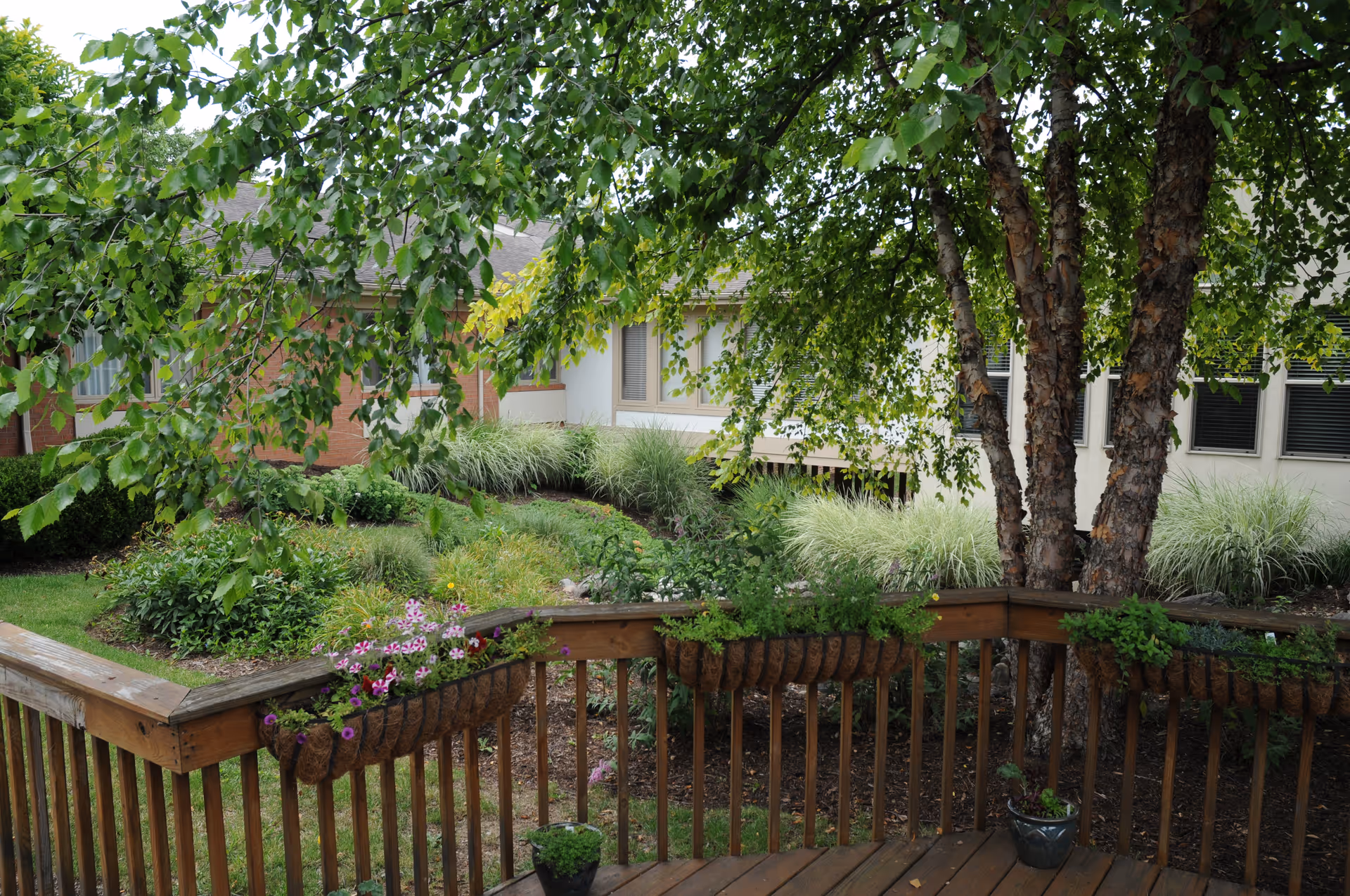 View of a lush garden area with various green plants and flowers, seen from a wooden deck with railing. Trees provide shade, and a building with windows is visible in the background.