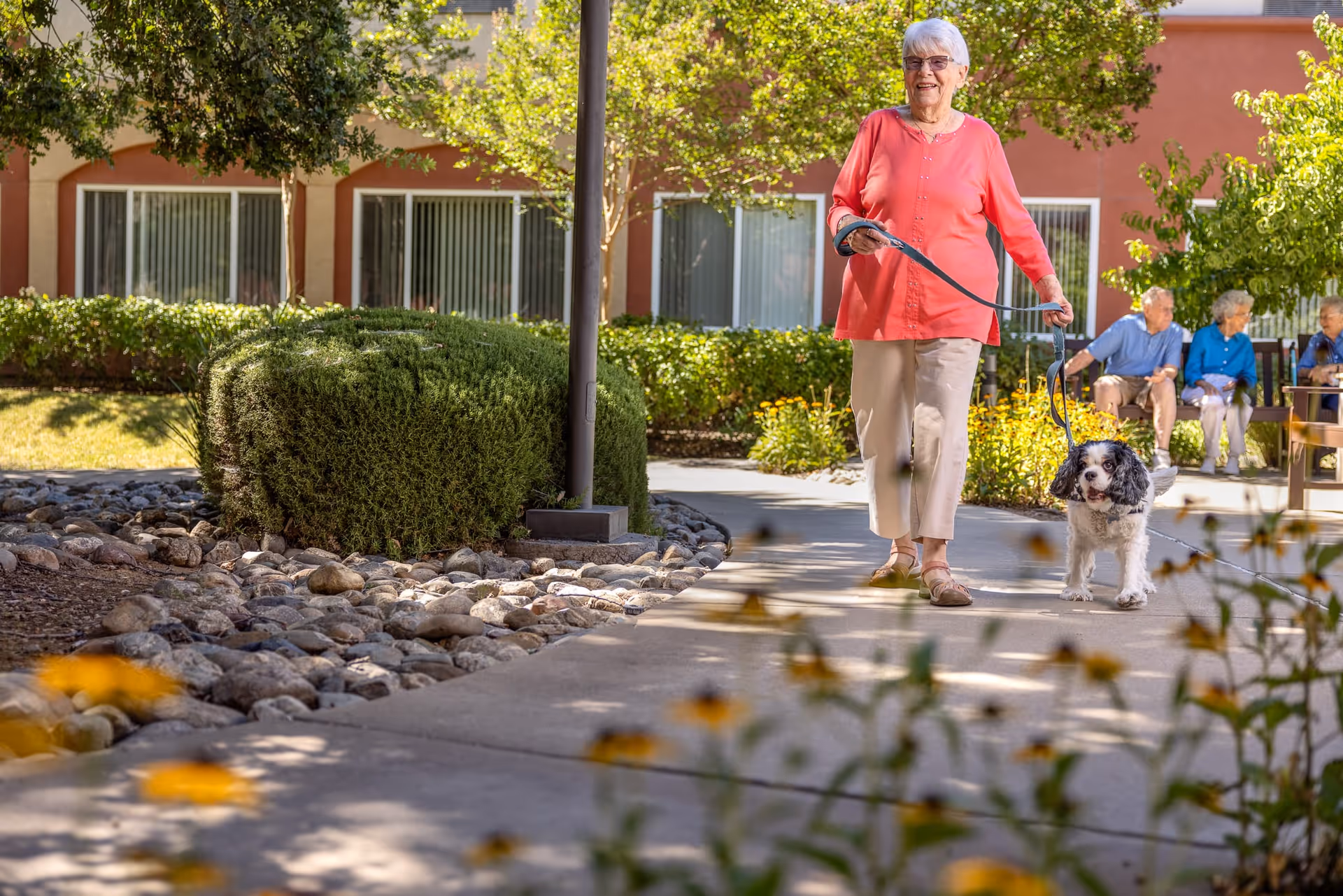 An elderly woman in a coral top walks a small black-and-white dog along a sunny courtyard path in front of a senior living building while other seniors sit on a bench in the background.