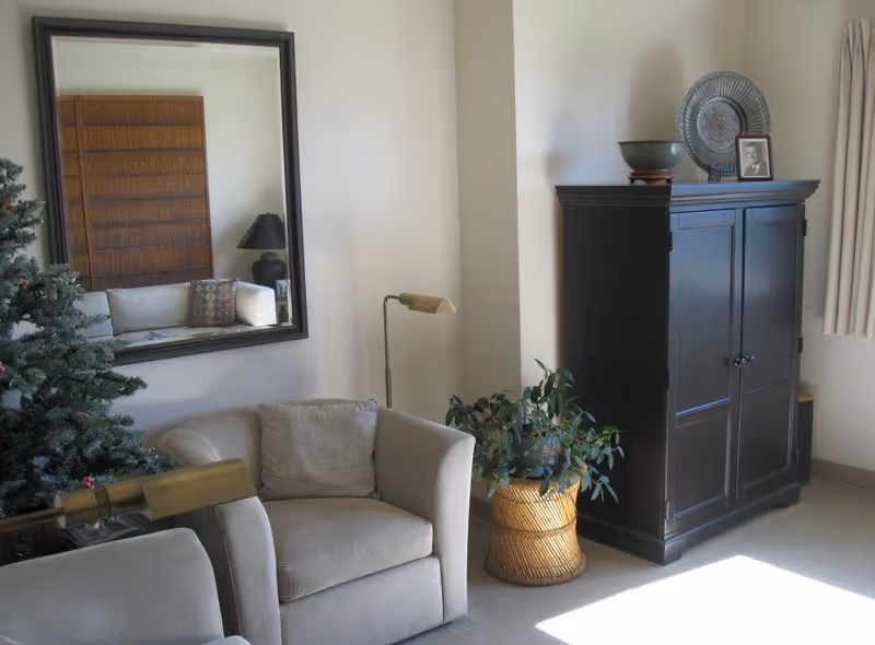 Cozy living room corner with upholstered armchairs, a large wall mirror reflecting a sofa, a floor lamp, a potted plant, and a dark wood cabinet.