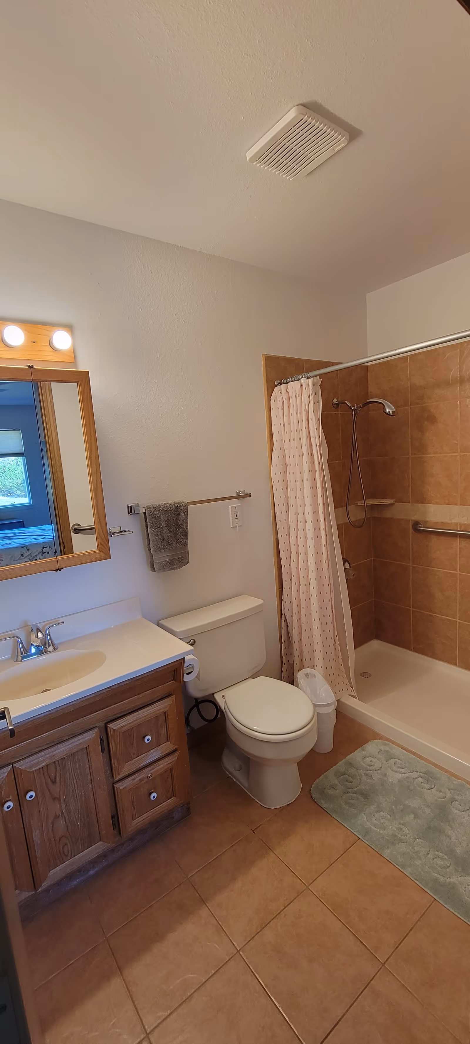 Bathroom with a sink vanity, toilet, and tiled walk-in shower with a pink curtain.
