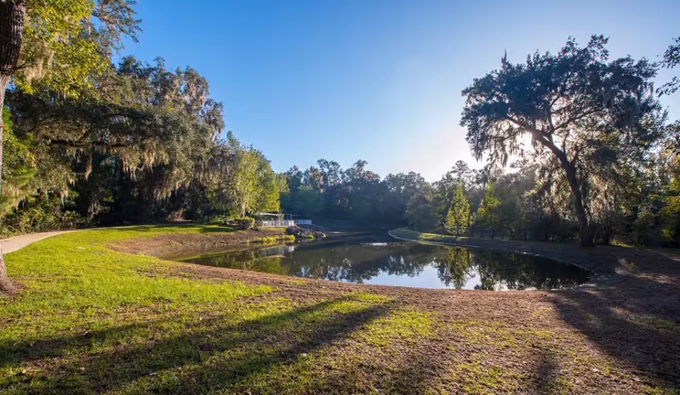 A serene outdoor scene at Oak Hammock at the University of Florida featuring a small pond surrounded by green grass and large trees with Spanish moss hanging from the branches under a clear blue sky.