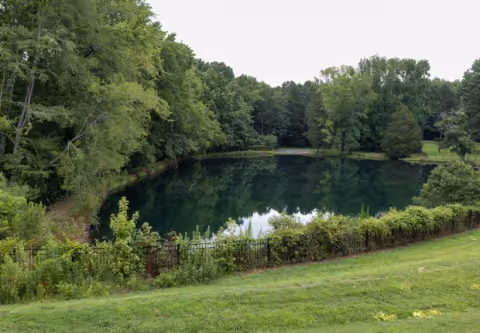 A serene pond surrounded by lush green trees and grass, with a metal fence partially covered by vegetation along the edge of the pond.