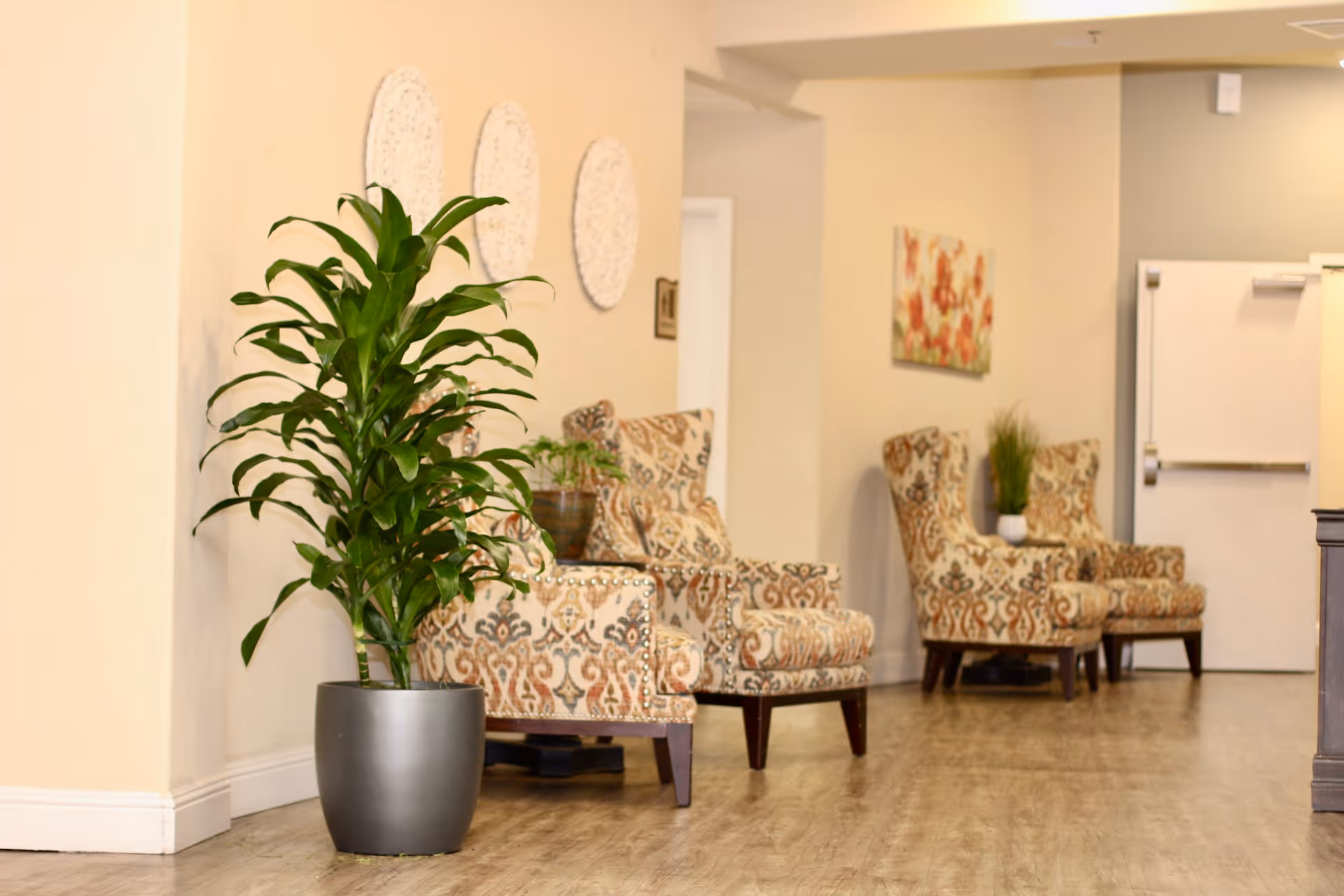 A bright seating area with patterned armchairs and potted plants in a senior living facility hallway.