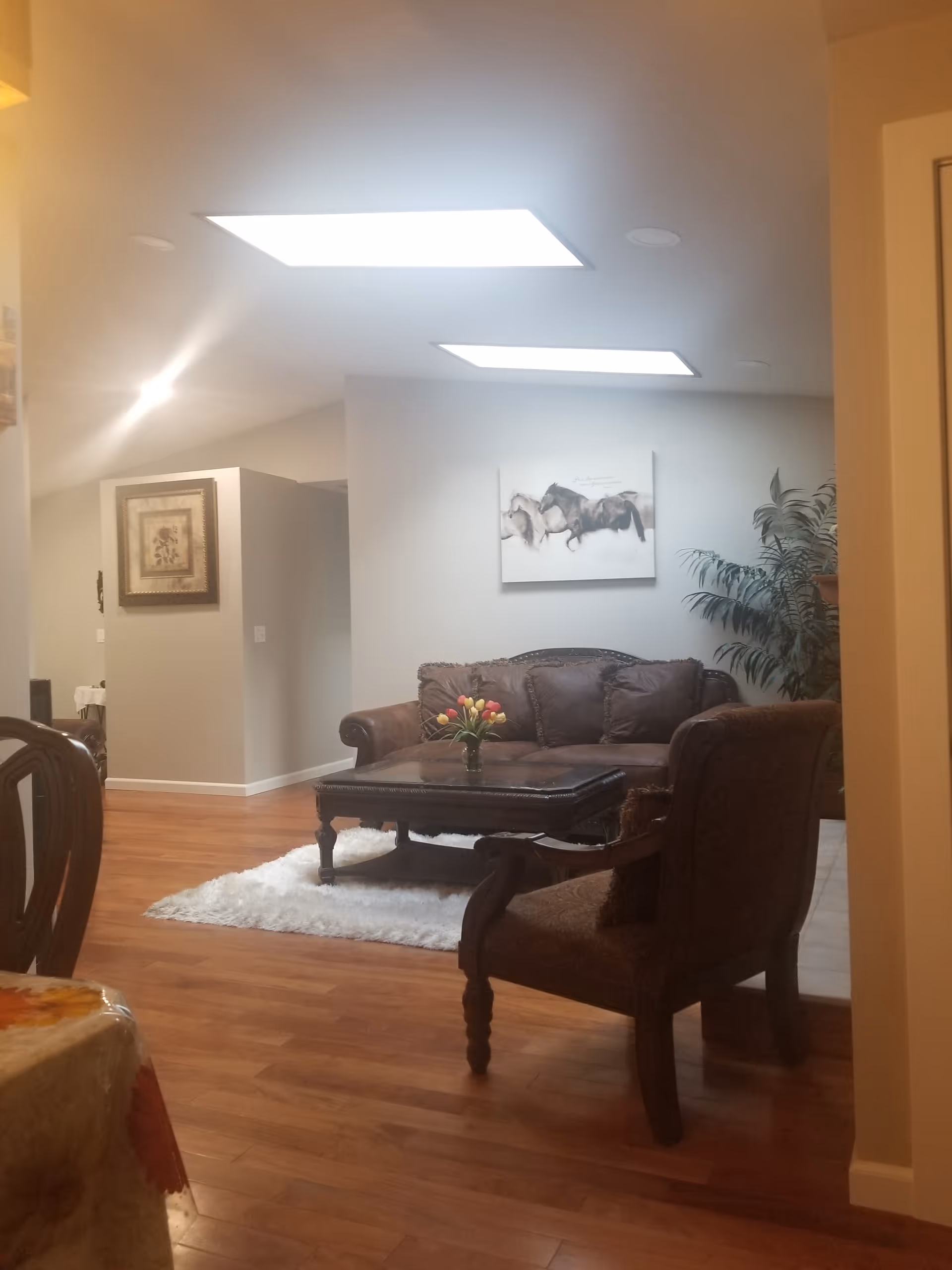 A cozy living room with wooden flooring, a brown leather sofa, a matching armchair, and a dark wooden coffee table with a vase of colorful tulips. There is a white fluffy rug under the coffee table, a large potted plant in the corner, and a painting of horses on the wall. The room is illuminated by two rectangular ceiling lights.