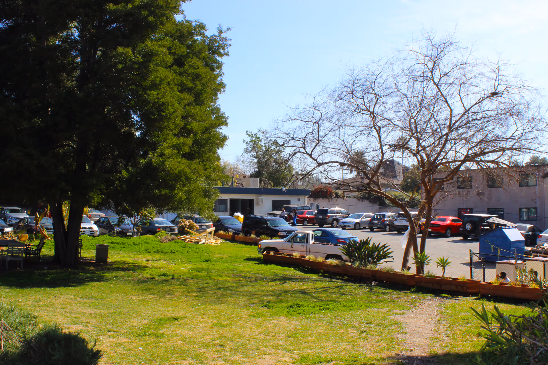 Outdoor view of a senior living facility showing a grassy area with trees and plants in the foreground, and a parking lot filled with cars in the background under a clear blue sky.