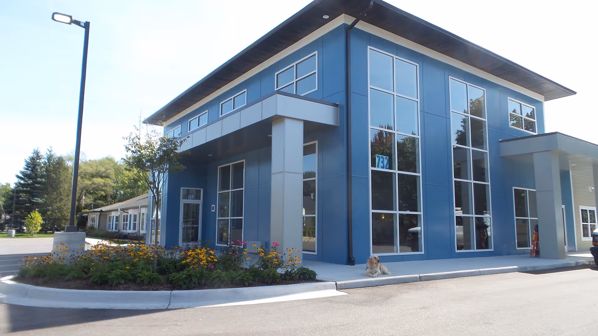 Two-story modern blue building with large windows, landscaped flowers and a dog lying near the entrance.
