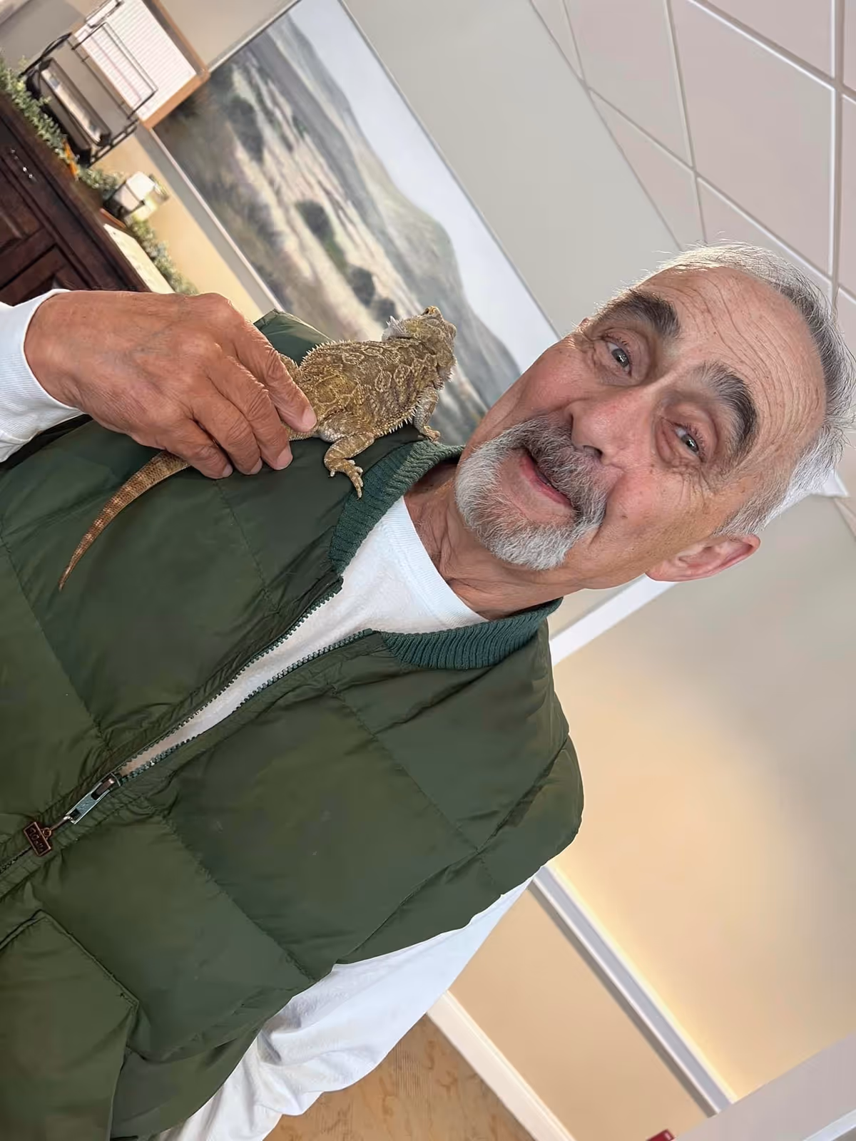 An elderly man wearing a green vest and white shirt is smiling and holding a bearded dragon lizard on his shoulder inside a room with beige walls and a landscape painting in the background.
