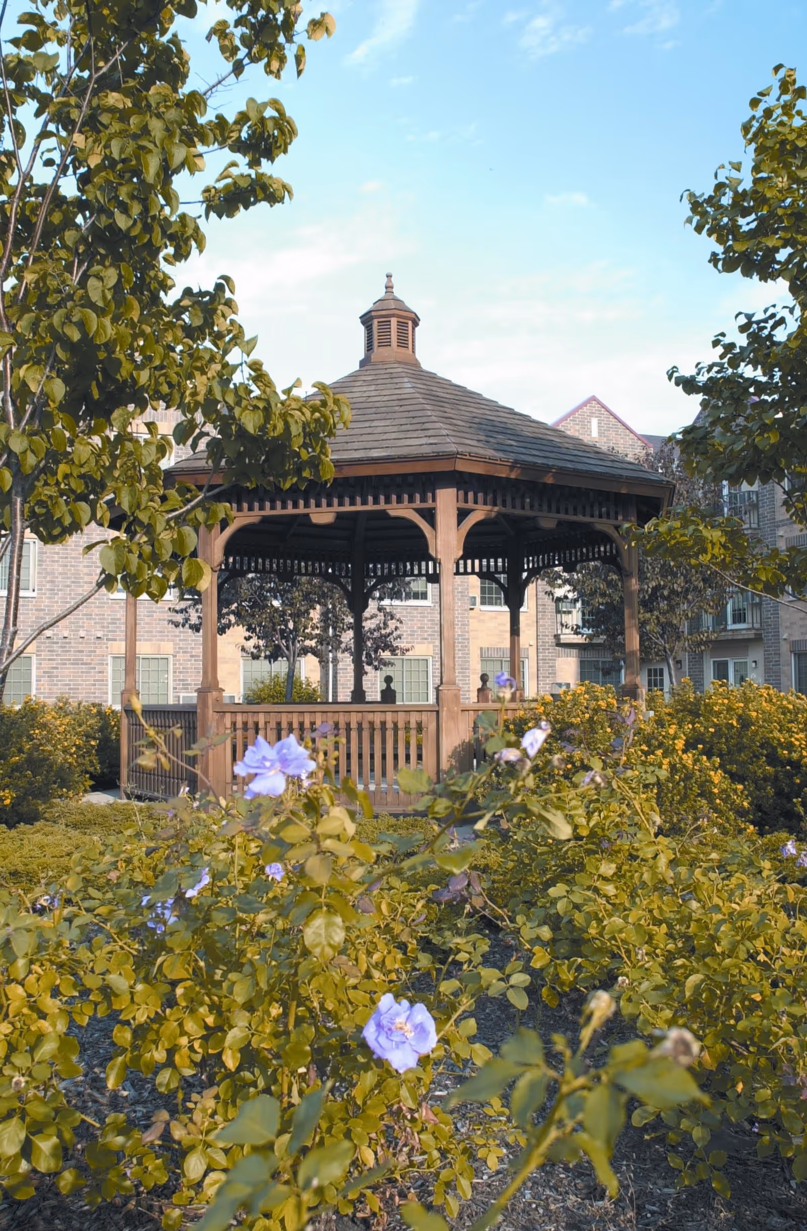 A wooden gazebo surrounded by green bushes and purple flowers in a garden area with trees and a brick building in the background under a partly cloudy sky.