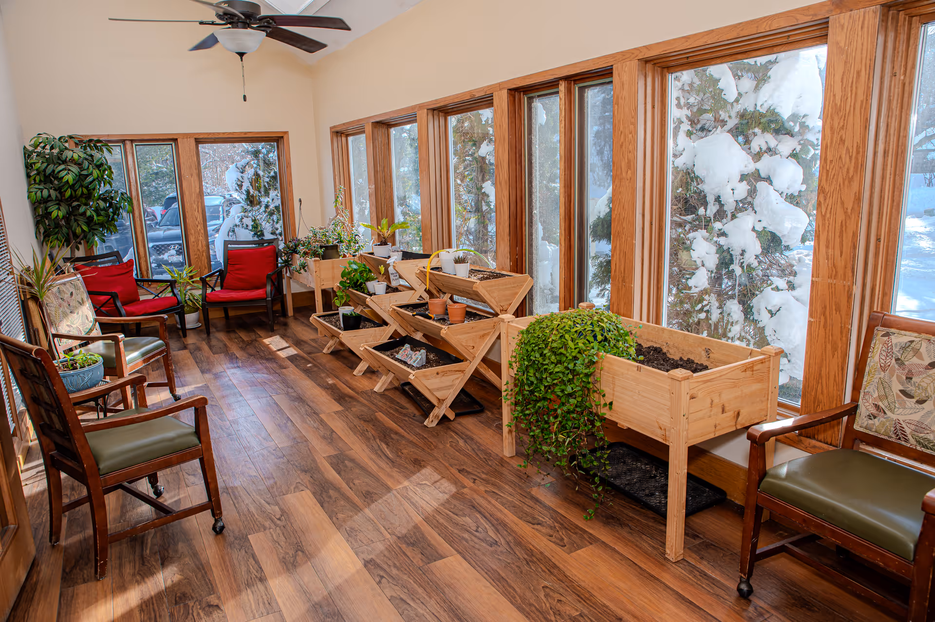 A sunlit indoor room with large windows showing a snowy outdoor scene. The room has wooden flooring and several wooden planters with green plants. There are multiple chairs with cushions arranged along the walls, and a ceiling fan is mounted above.
