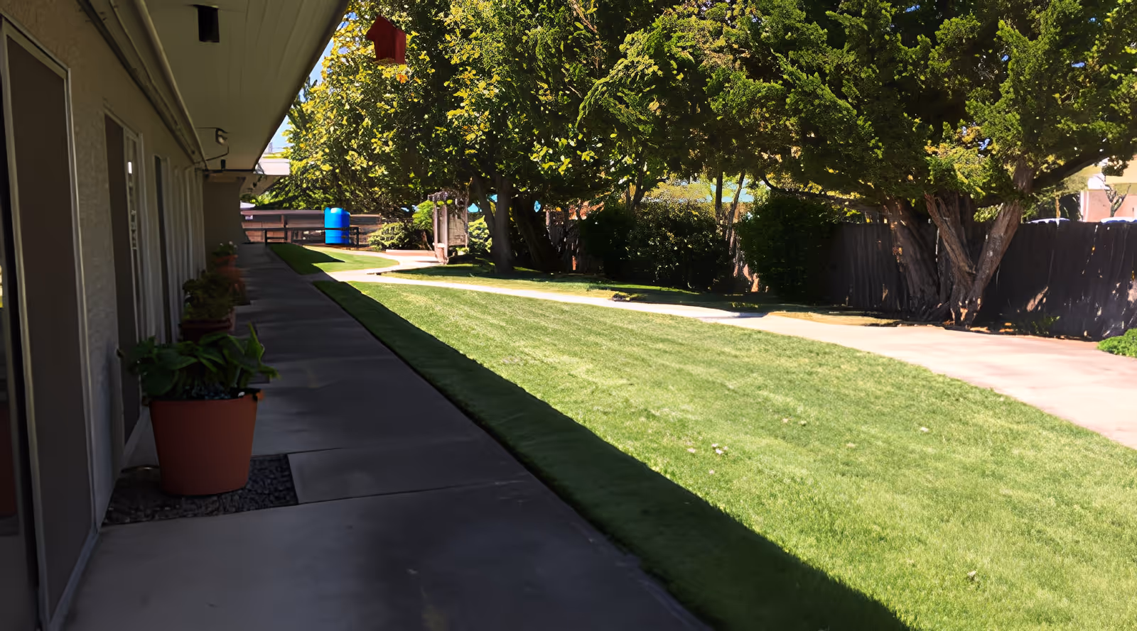 Outdoor walkway alongside a building with potted plants, a well-maintained grassy area, trees, and a paved path under a clear sky.