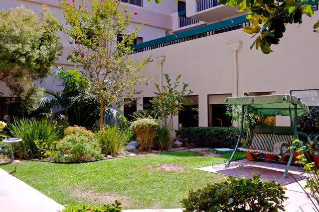 Sunny courtyard with a lawn, landscaped plants, and a green canopy swing beside a multi-story building.