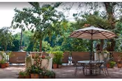 Outdoor patio area with a metal table and chairs under a large beige umbrella, surrounded by potted plants and trees with a green leafy background.