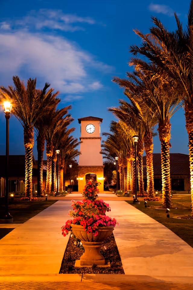 Nighttime view of a palm-lined outdoor courtyard with a clock tower in the distance and a flowering planter in the foreground.