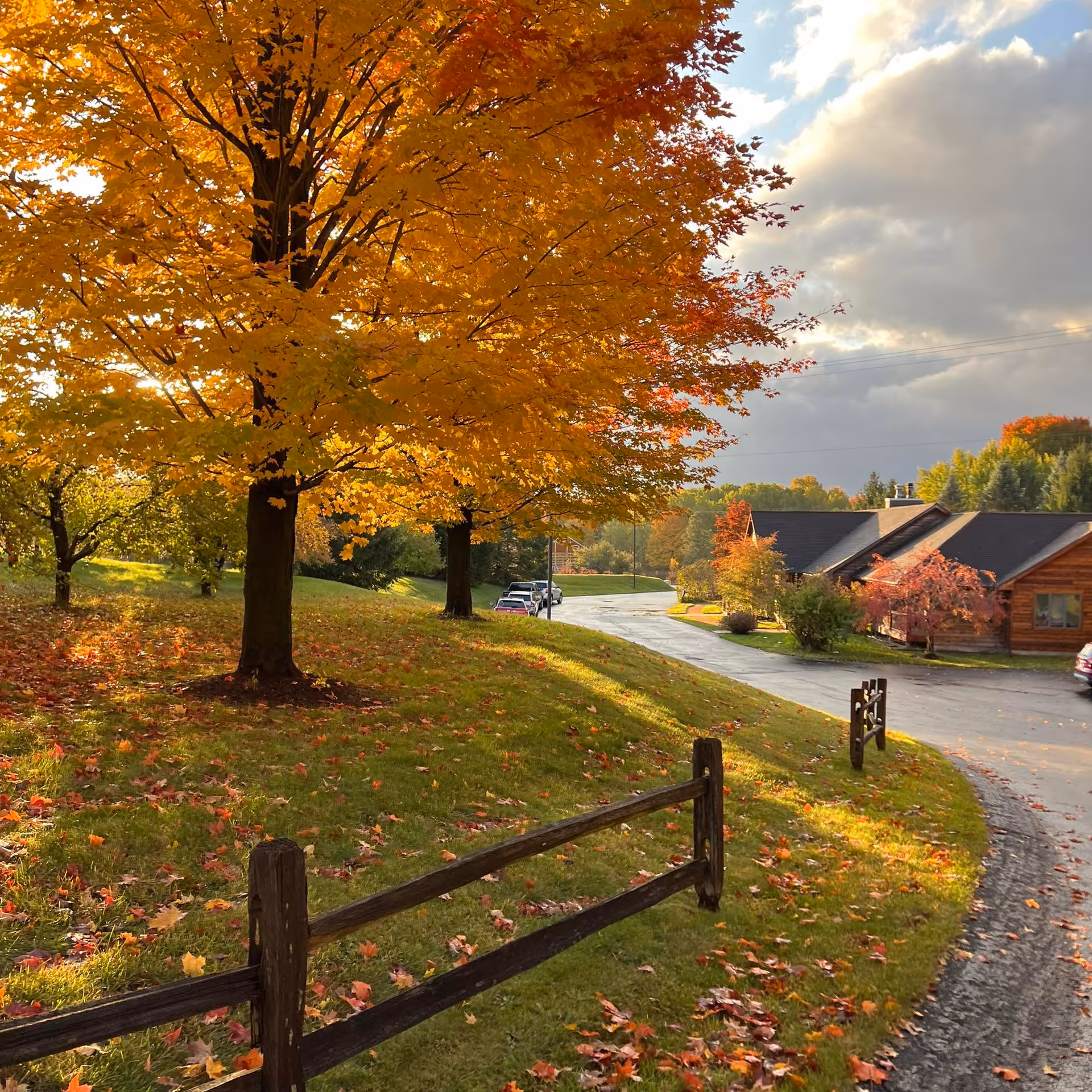 A scenic outdoor view of a senior living facility area in autumn, featuring a large tree with vibrant orange and yellow leaves, a wooden fence along a grassy slope covered with fallen leaves, a paved road curving past single-story buildings with dark roofs, and a partly cloudy sky.
