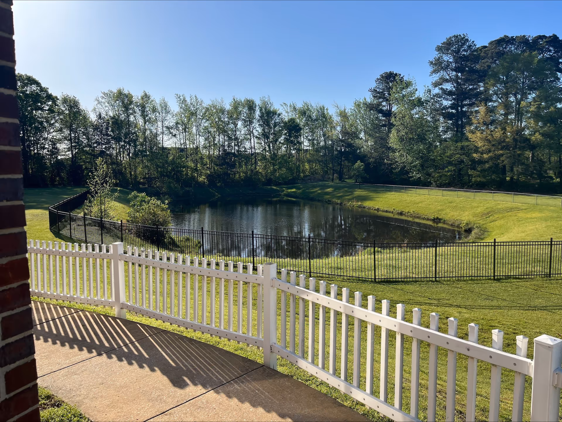 View of a small pond surrounded by grass and trees, seen from behind a white picket fence and a concrete pathway, with a clear blue sky overhead.