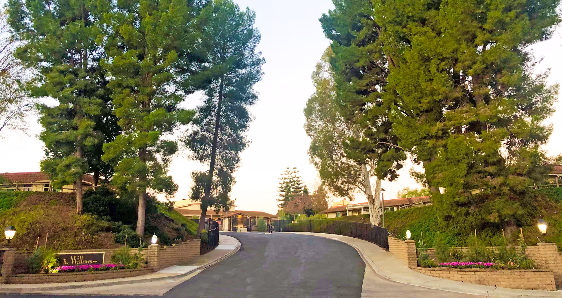Entrance driveway to The Willows senior living facility, flanked by tall trees and landscaped greenery with brick walls and lamps on either side.
