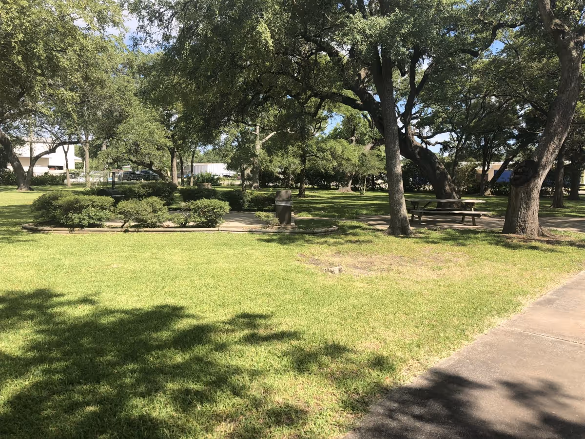 A shaded outdoor park area with trees, benches, and picnic tables on a sunny day.